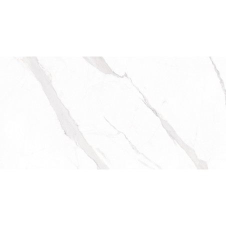 Statuario White Polished 30x60cm Rectangular Polished Porcelain Wall & Floor Tile