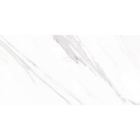 Statuario White Polished 30x60cm Rectangular Polished Porcelain Wall & Floor Tile