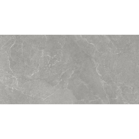 Storm A grey 60x120cm Rectangular Matt Porcelain Wall and Floor Tile