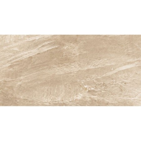 Matrix Cinder Grey 60x120 Rectangular Matt Glazed Porcelain Wall & Floor Tile