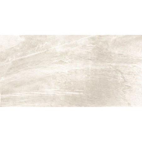 Matrix White 60x120 Rectangular Matt Glazed Porcelain Wall & Floor Tile