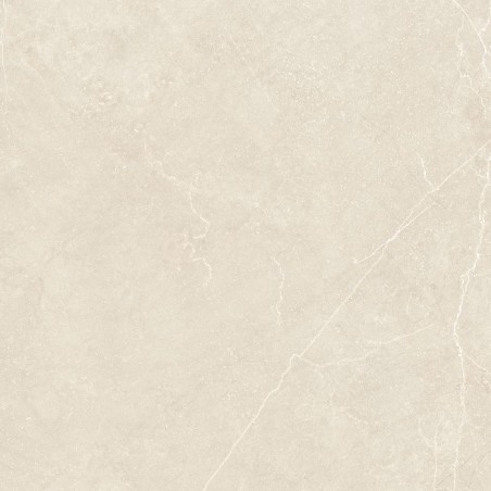 Duomo Perla Light Grey 60x60cm Square Matt Porcelain Wall and Floor Tile